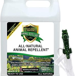 Natural Armor Animal & Rodent Repellent Spray. Repels Skunks, Raccoons, Rats, Mice, Deer Rodents & Critters. Repeller & Deterrent in Powerful Peppermint Formula – 128 Fl Oz Gallon Case of 4