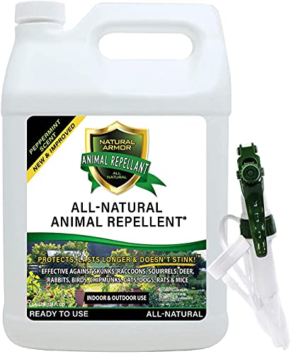 Natural Armor Animal & Rodent Repellent Spray. Repels Skunks, Raccoons, Rats, Mice, Deer Rodents & Critters. Repeller & Deterrent in Powerful Peppermint Formula – 128 Fl Oz Gallon Case of 4