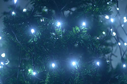 9.8Ft x 6.0Ft 320LED Connectable Mesh Net Fairy Garden Light Twinkle Waterproof Light String with 8 Modes Green Cable for Festoon Party/Garden/Christmas/Patio/Wedding (Cool White)