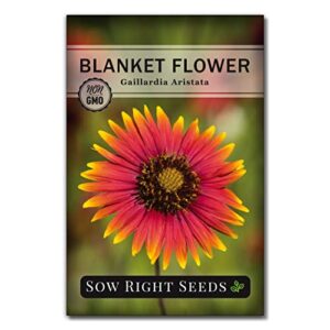 sow right seeds – blanket flower seeds to plant – full instructions for planting and growing a flower garden; non-gmo heirloom seeds; wonderful gardening gift (1)