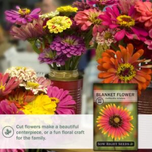 Sow Right Seeds - Blanket Flower Seeds to Plant - Full Instructions for Planting and Growing a Flower Garden; Non-GMO Heirloom Seeds; Wonderful Gardening Gift (1)