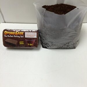 SpongEase Pro Coco Coir Brick - Each brick makes 2 Gallons Organic Coco Coir Potting Soil for All Plants, Cuttings, Seedlings and Seeds (650 gm)