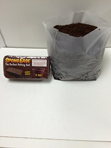 SpongEase Pro Coco Coir Brick - Each brick makes 2 Gallons Organic Coco Coir Potting Soil for All Plants, Cuttings, Seedlings and Seeds (650 gm)