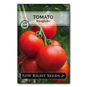 sow right seeds – marglobe tomato seed for planting – non-gmo heirloom packet with instructions to plant and grow a home vegetable garden