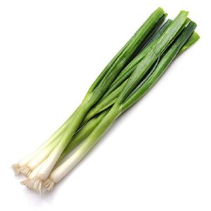 alexi green onion seeds – long white bunching onion seeds – green scallion seeds for planting home garden outdoor – non gmo – scallion onion heirloom – high germination rate (500)