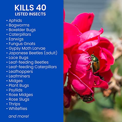 BioAdvanced 502570B Dual Action Rose & Flower Insect Killer Insecticide, 24-Ounce, Ready-to-Use & 701290B Insecticide Fungicide Miticide 3-in-1 Insect, Disease & Mite Control, 24 Oz