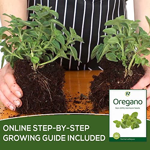 Oregano Seeds for Planting Home Garden Herbs - Individual Pack of 300+ Heirloom Seeds, Suitable for Outdoors, Indoors, and Hydroponics - Non-GMO, Non-Hybrid, Untreated, and USA Grown Variety