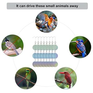 Mageloly 24 Pack Bird Reflective Disks, Woodpecker Deterrent Bird Repellent Devices Outdoor, Bird Deterrent Scare Discs
