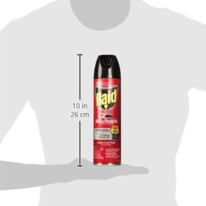 Raid Ant and Roach Killer Outdoor Fresh, 17.5 OZ (pack of 3)