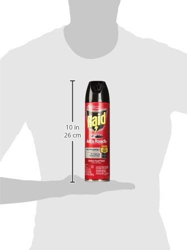 Raid Ant and Roach Killer Outdoor Fresh, 17.5 OZ (pack of 3)