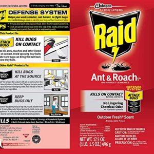 Raid Ant and Roach Killer Outdoor Fresh, 17.5 OZ (pack of 3)