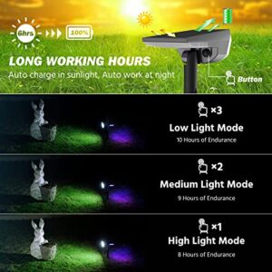 USOKYO 2 Pack Solar Spot Lights Outdoor, 34 LED Solar Lights Outdoor Waterproof IP65 Solar Garden Pathway Lights 3 Modes Outdoor Solar Lights for Yard Porch (Cool White & RGB Tail Light)