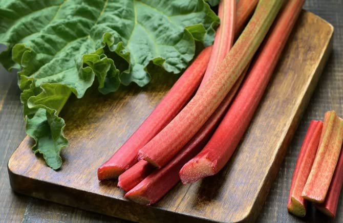 200-Rhubarb Seeds for Planting in Vegetable Garden-Perennial