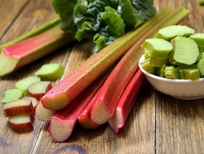 200-Rhubarb Seeds for Planting in Vegetable Garden-Perennial