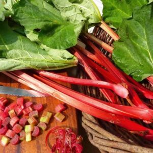 200-Rhubarb Seeds for Planting in Vegetable Garden-Perennial