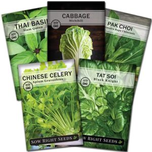 sow right seeds – asian greens collection for planting – individual packets thai basil, pak choi, chinese celery, michihili cabbage and tat soi, non-gmo heirloom seeds