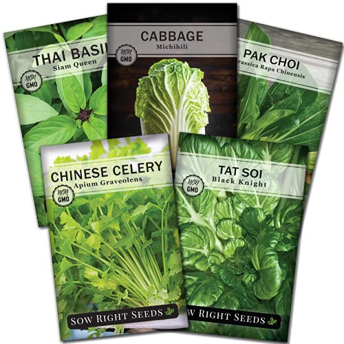 Sow Right Seeds - Asian Greens Collection for Planting - Individual Packets Thai Basil, Pak Choi, Chinese Celery, Michihili Cabbage and Tat SOI, Non-GMO Heirloom Seeds