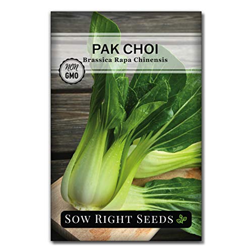 Sow Right Seeds - Asian Greens Collection for Planting - Individual Packets Thai Basil, Pak Choi, Chinese Celery, Michihili Cabbage and Tat SOI, Non-GMO Heirloom Seeds