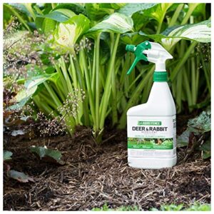 Liquid Fence Deer and Rabbit Repellent, Keep Deer and Rabbits Out of Garden Patio and Backyard, Use on Gardens Shrubs and Trees, Harmless to Plants and Animals When Used & Stored as Directed, 32 fl Ounce