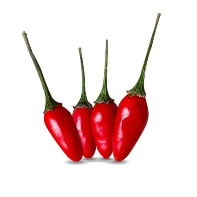 Pepper Joe’s Guam Boonie Pepper Seeds ­­­­­– Pack of 10+ Rare Hot Chili Pepper Seeds – USA Grown ­– Premium Non-GMO Boonie Pepper Seeds for Planting in Your Garden