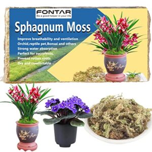 premium 3 qt sphagnum moss for plants in pots – ideal for orchids, succulents, garden flowers, and reptiles – helps maintain optimal humidity levels