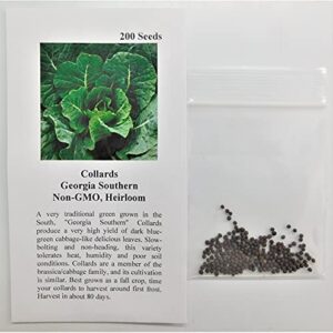 David's Garden Seeds Collards Georgia Southern FBA-1263 (Green) 200 Non-GMO, Heirloom Seeds