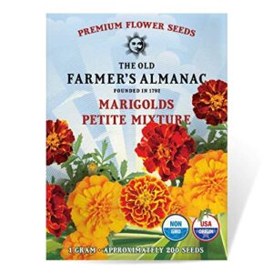 The Old Farmer's Almanac Marigold Seeds (Petite Mixture) - Approx 200 Flower Seeds - Premium Non-GMO, Open Pollinated, USA Origin