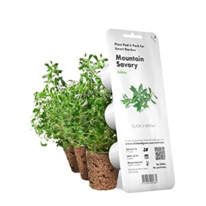 click and grow smart garden mountain savory plant pods, 3-pack