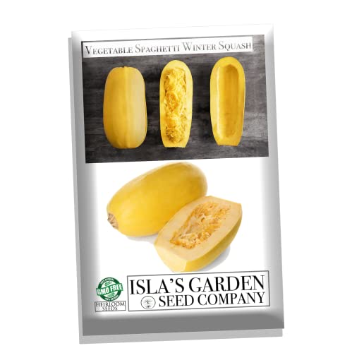 Vegetable Spaghetti Winter Squash Seeds for Planting, 25+ Heirloom Seeds Per Packet, (Isla's Garden Seeds), Non GMO Seeds, Botanical Name: Cucurbita Pepo, Home Garden Gift