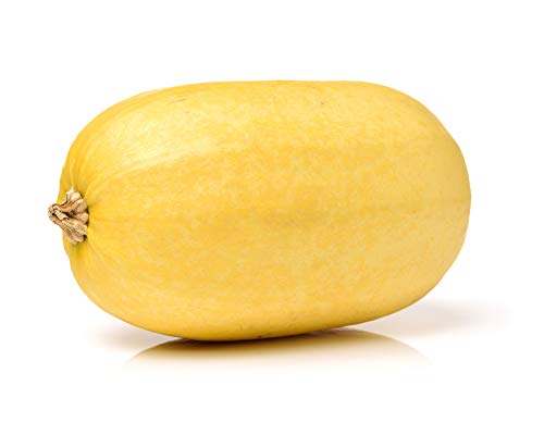 Vegetable Spaghetti Winter Squash Seeds for Planting, 25+ Heirloom Seeds Per Packet, (Isla's Garden Seeds), Non GMO Seeds, Botanical Name: Cucurbita Pepo, Home Garden Gift