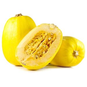 Vegetable Spaghetti Winter Squash Seeds for Planting, 25+ Heirloom Seeds Per Packet, (Isla's Garden Seeds), Non GMO Seeds, Botanical Name: Cucurbita Pepo, Home Garden Gift