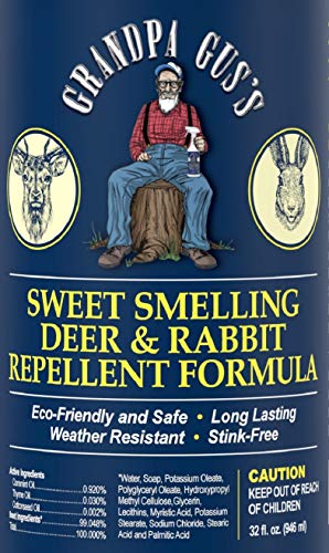 Grandpa Gus's Deer & Rabbit Repellent Ready-to-Use Spray, Protects Garden & Yard, Sweet Smelling Formula with Natural Essential Oils, Weather-Resistant Stink-Free Long-Lasting Scent (32oz)