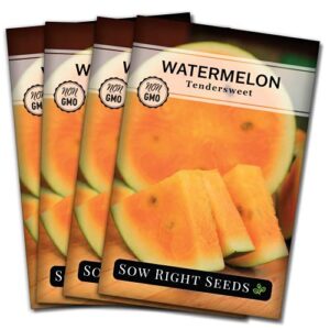 sow right seeds – tendersweet watermelon seeds for planting – non-gmo heirloom seeds to plant a home vegetable garden (4)