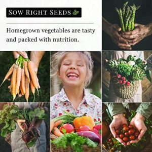 Sow Right Seeds - Tendersweet Watermelon Seeds for Planting - Non-GMO Heirloom Seeds to Plant a Home Vegetable Garden (4)