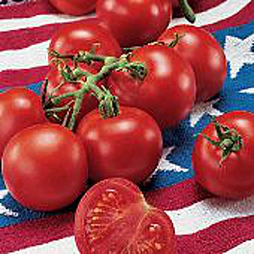 Fourth of July Tomato Seeds (20+ Seeds) | Non GMO | Vegetable Fruit Herb Flower Seeds for Planting | Home Garden Greenhouse Pack