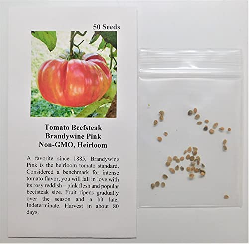 David's Garden Seeds Tomato Beefsteak Indeterminate Brandywine Pink 4533 (Pink) 25 Non-GMO, Heirloom Seeds