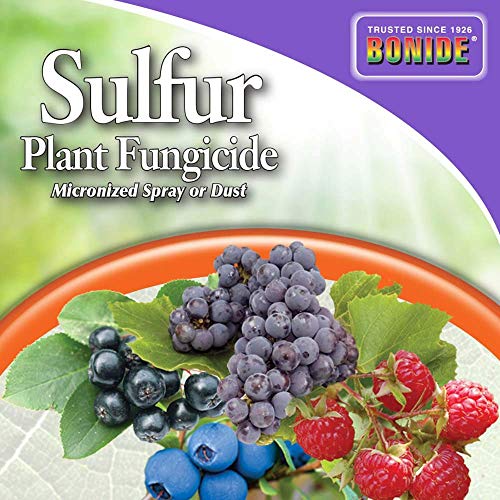 BONIDE Products INC 142 Sulfur Plant Fungicide Organically Controls Rust, Leaf Spot and Powdery Mildew, 4 lbs (2)