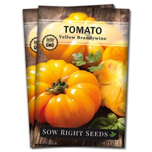sow right seeds – yellow brandywine tomato seed for planting – non-gmo heirloom packet with instructions to plant a home vegetable garden – great gardening gift (2)