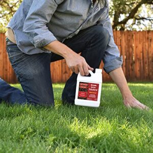 Simple Lawn Solutions Root Hume- Simple Grow Solutions - Concentrated Humic Acid - Liquid Carbon - Simple Grow Solutions- Natural Lawn & Garden Treatment - Plant Food Enhancer- Turf Grass Soil Conditioner (32 Ounce)