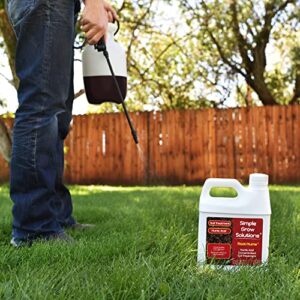 Simple Lawn Solutions Root Hume- Simple Grow Solutions - Concentrated Humic Acid - Liquid Carbon - Simple Grow Solutions- Natural Lawn & Garden Treatment - Plant Food Enhancer- Turf Grass Soil Conditioner (32 Ounce)