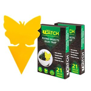 ucatch gnat sticky traps for plants – effective gnat traps for house indoor and outdoor garden with super sticky adhesive | yellow fruit fly trap for mosquitos, black flies, fungus gnats | 2 x 21