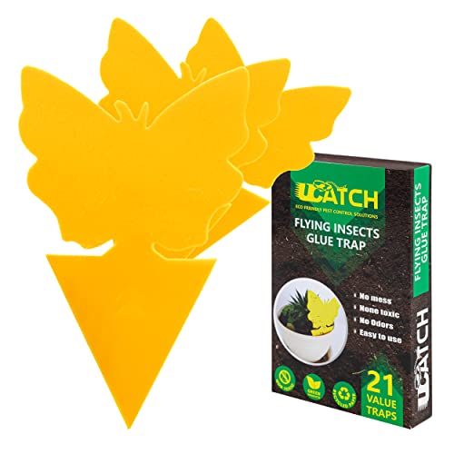 UCatch Gnat Sticky Traps for Plants - Effective Gnat Traps for House Indoor and Outdoor Garden with Super Sticky Adhesive | Yellow Fruit Fly Trap for Mosquitos, Black Flies, Fungus Gnats | 2 X 21