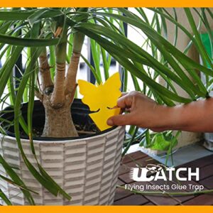 UCatch Gnat Sticky Traps for Plants - Effective Gnat Traps for House Indoor and Outdoor Garden with Super Sticky Adhesive | Yellow Fruit Fly Trap for Mosquitos, Black Flies, Fungus Gnats | 2 X 21