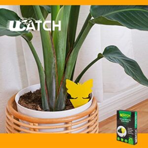 UCatch Gnat Sticky Traps for Plants - Effective Gnat Traps for House Indoor and Outdoor Garden with Super Sticky Adhesive | Yellow Fruit Fly Trap for Mosquitos, Black Flies, Fungus Gnats | 2 X 21