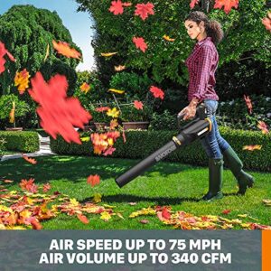 WORX 20V GT 3.0 + Turbine Blower (Batteries & Charger Included)