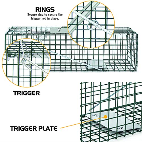 HOMESTEAD Heavy Duty Live Trap - Professional Style One-Door Live Animal Traps for Rabbit, Squirrel, Possum, Skunk, Kitten, Mink