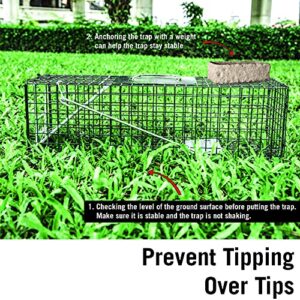 HOMESTEAD Heavy Duty Live Trap - Professional Style One-Door Live Animal Traps for Rabbit, Squirrel, Possum, Skunk, Kitten, Mink