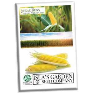 sugar buns sweet yellow corn seeds for planting, 50+ heirloom seeds per packet, (isla’s garden seeds), non gmo, 90% germination rates, botanical name: zea mays, great home garden gift