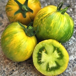 "Green Zebra" Tomato Seeds for Planting, 50+ Heirloom Seeds Per Packet, (Isla's Garden Seeds), Non GMO Seeds, Botanical Name: Solanum lycopersicum, Great Home Garden Gift