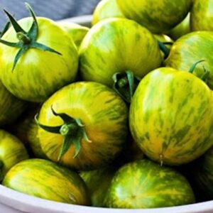 "Green Zebra" Tomato Seeds for Planting, 50+ Heirloom Seeds Per Packet, (Isla's Garden Seeds), Non GMO Seeds, Botanical Name: Solanum lycopersicum, Great Home Garden Gift